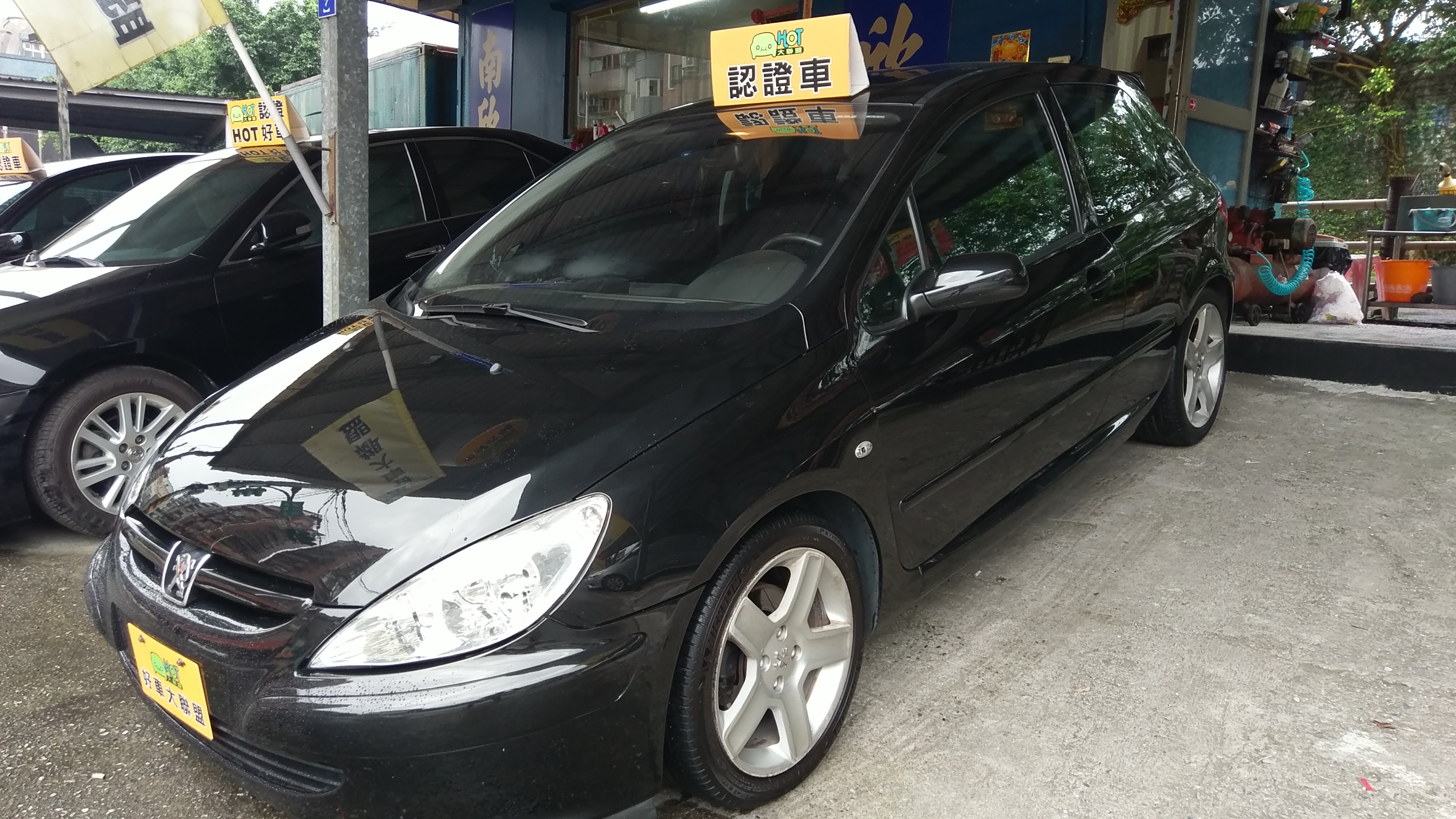 2004 Peugeot 307