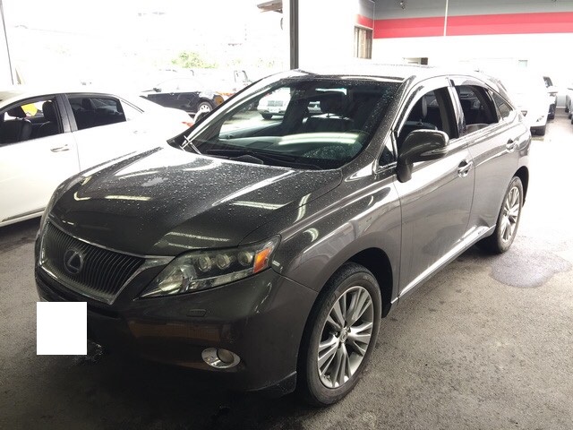 2010 Lexus 凌志 Rx