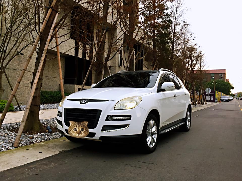 2010 Luxgen 納智捷 7 mpv