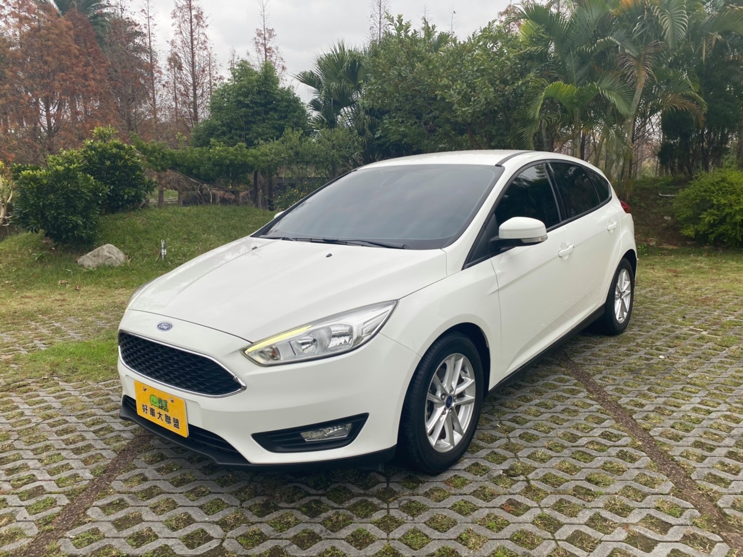 2015 Ford 福特 Focus