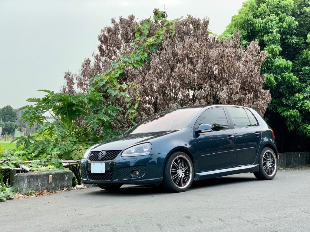 2008 Volkswagen 福斯 Golf