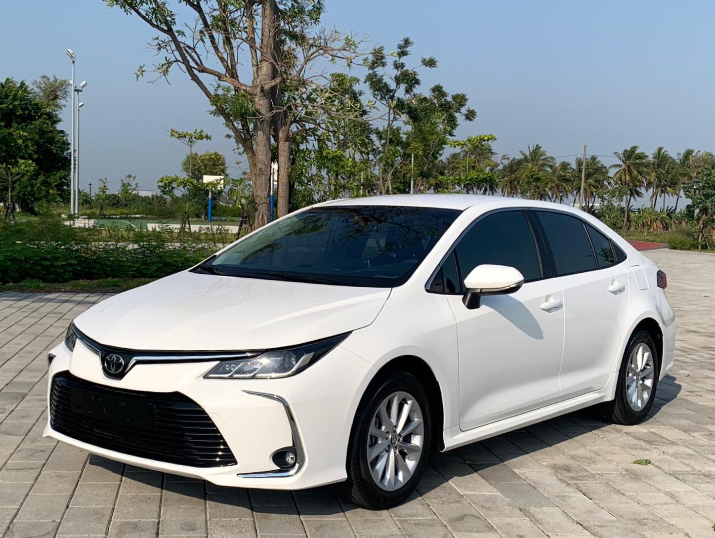 2019 Toyota 豐田 Corolla altis