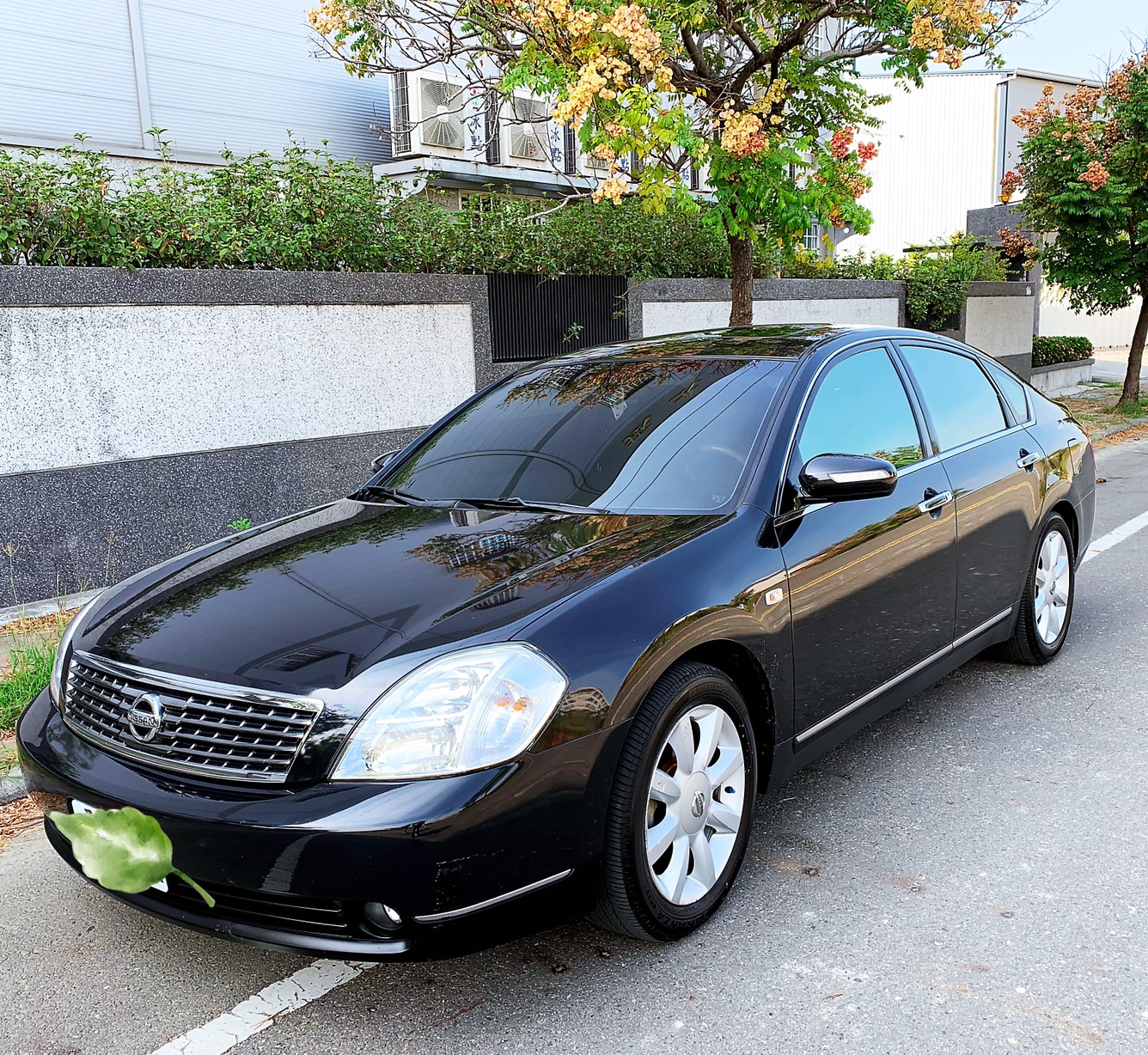 2006 Nissan 日產 Teana