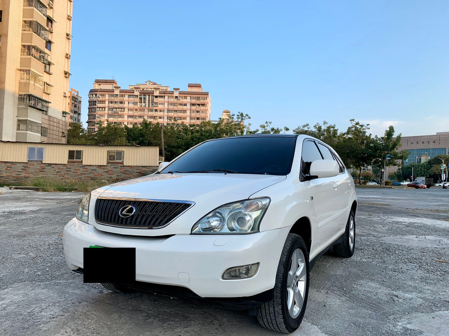 2006 Lexus 凌志 Rx