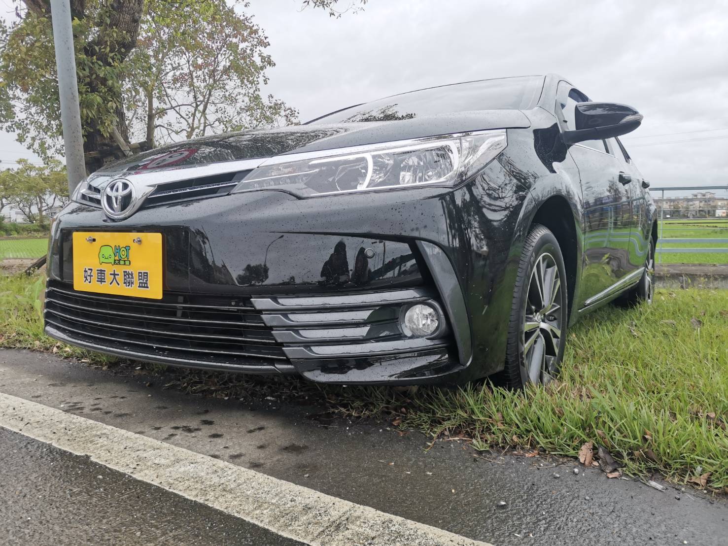 2017 Toyota 豐田 Corolla altis